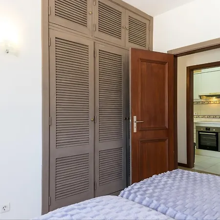 Akisol Daisy * 알부페이라